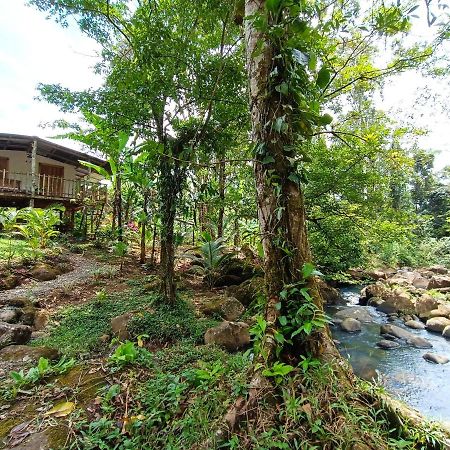 Cabana Vista Rio Celeste المظهر الخارجي الصورة