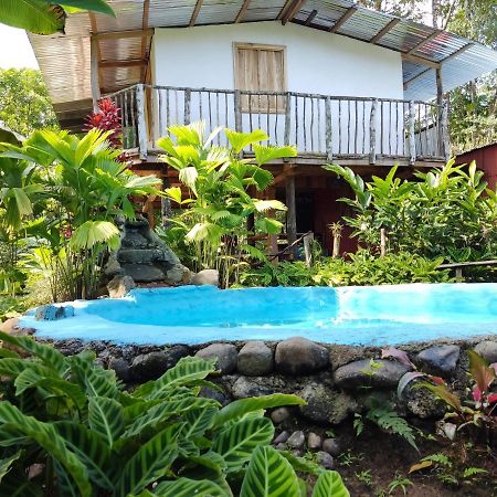 Cabana Vista Rio Celeste المظهر الخارجي الصورة