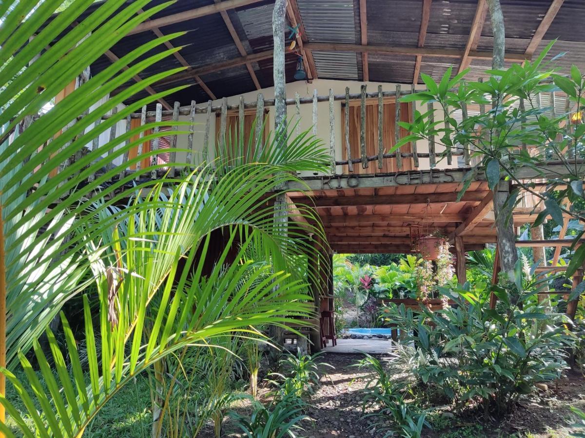 Cabana Vista Rio Celeste المظهر الخارجي الصورة