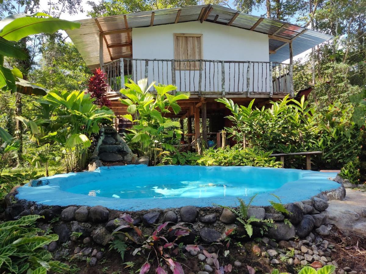 Cabana Vista Rio Celeste المظهر الخارجي الصورة