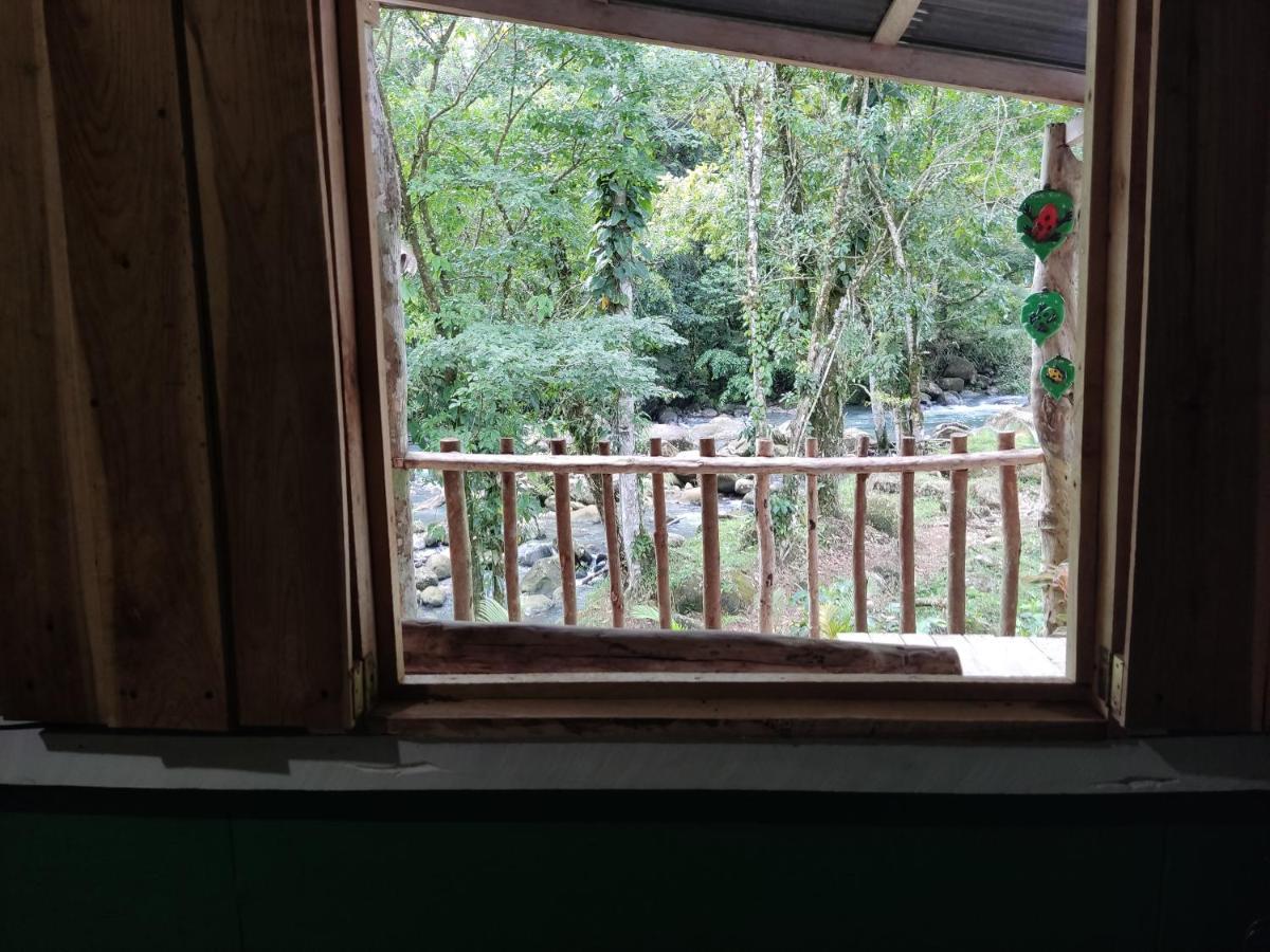 Cabana Vista Rio Celeste المظهر الخارجي الصورة