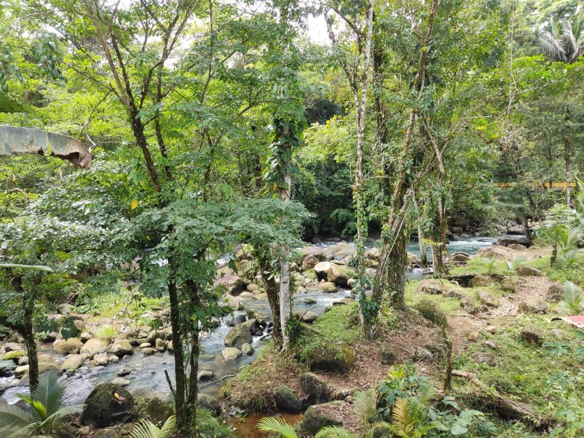 Cabana Vista Rio Celeste المظهر الخارجي الصورة