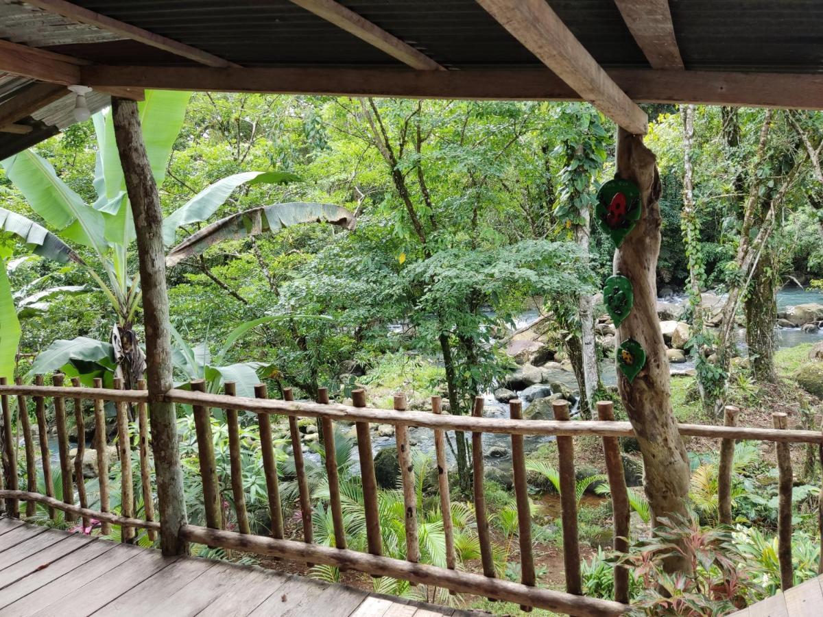 Cabana Vista Rio Celeste المظهر الخارجي الصورة
