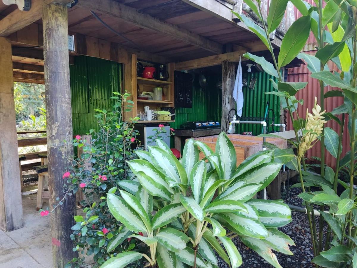 Cabana Vista Rio Celeste المظهر الخارجي الصورة