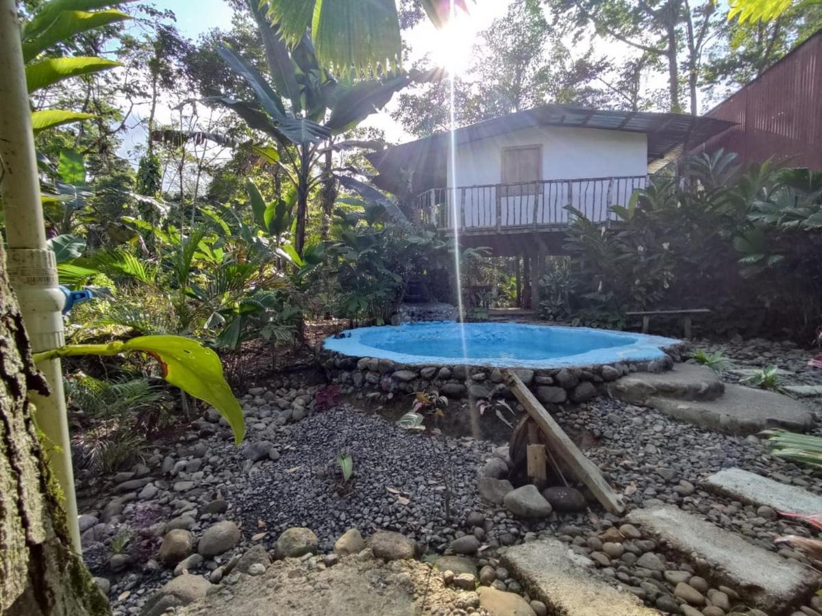 Cabana Vista Rio Celeste المظهر الخارجي الصورة