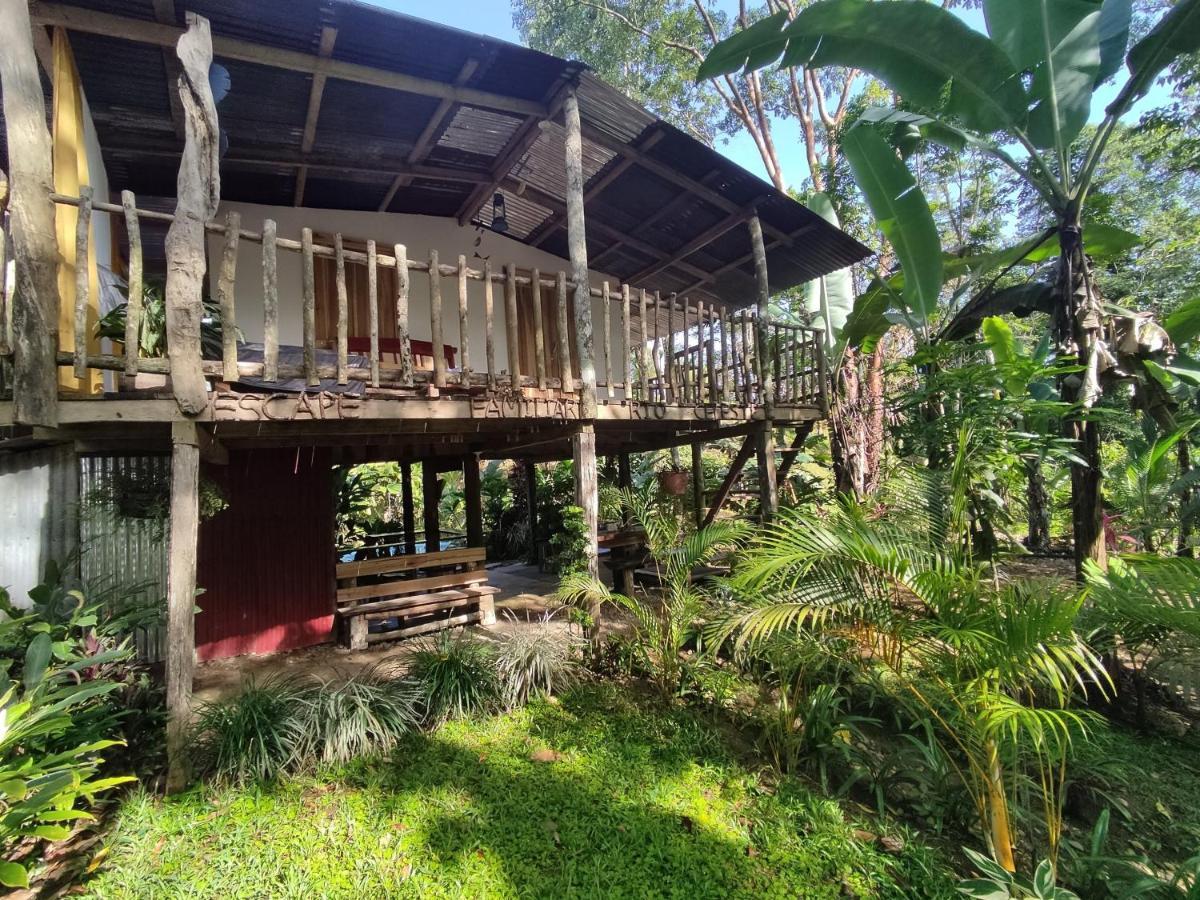 Cabana Vista Rio Celeste المظهر الخارجي الصورة