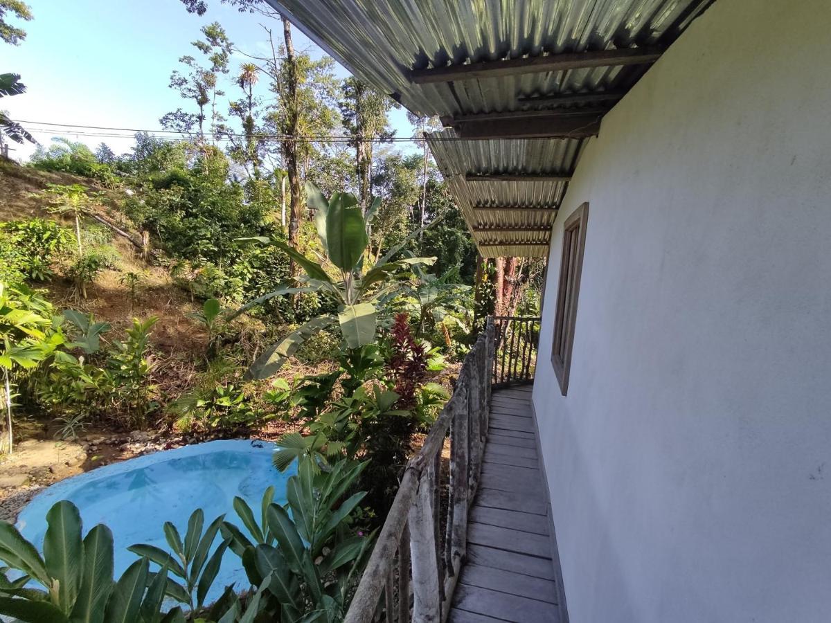 Cabana Vista Rio Celeste المظهر الخارجي الصورة