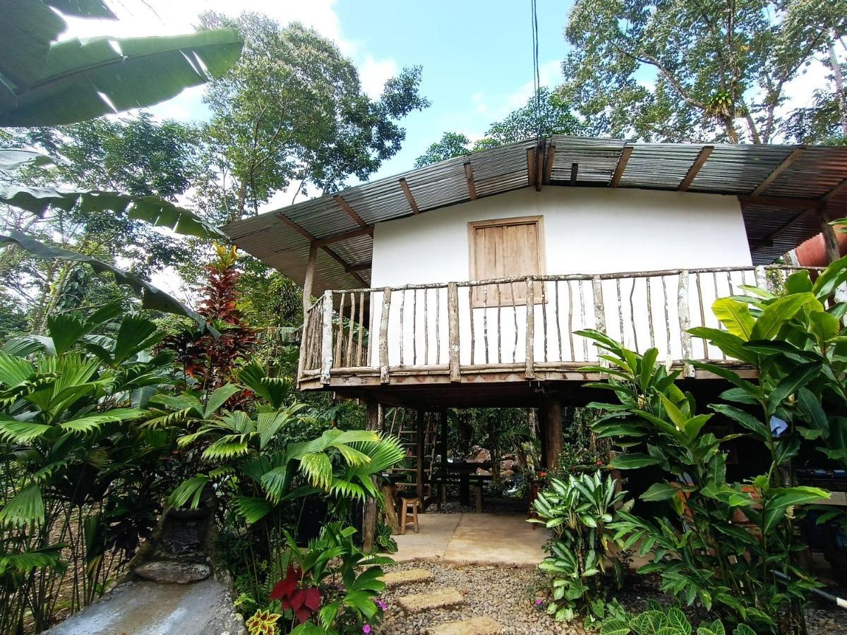 Cabana Vista Rio Celeste المظهر الخارجي الصورة