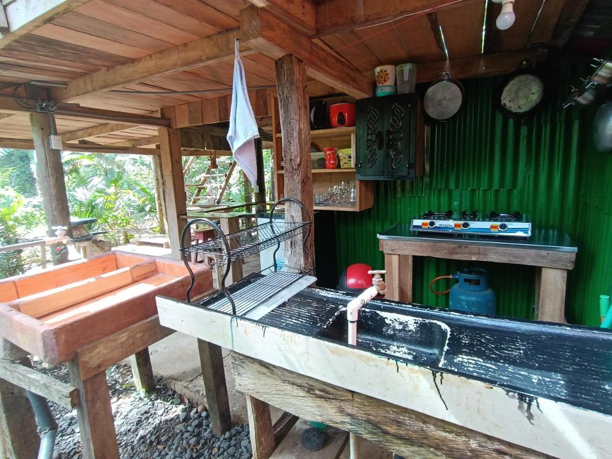 Cabana Vista Rio Celeste المظهر الخارجي الصورة