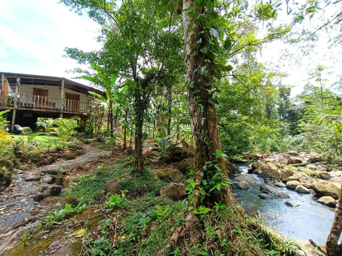 Cabana Vista Rio Celeste المظهر الخارجي الصورة