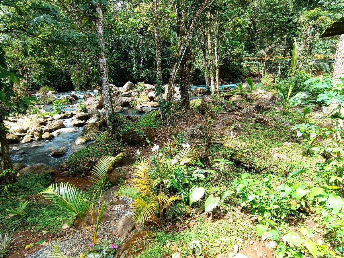 Cabana Vista Rio Celeste المظهر الخارجي الصورة