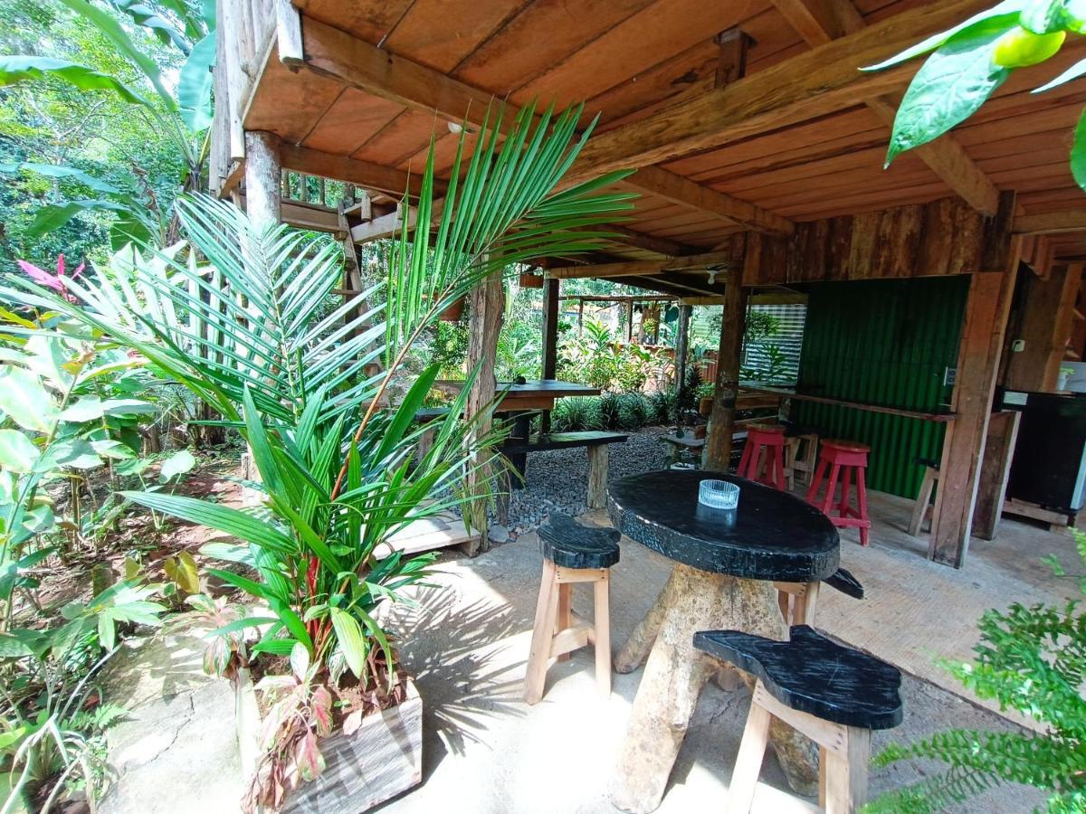 Cabana Vista Rio Celeste المظهر الخارجي الصورة
