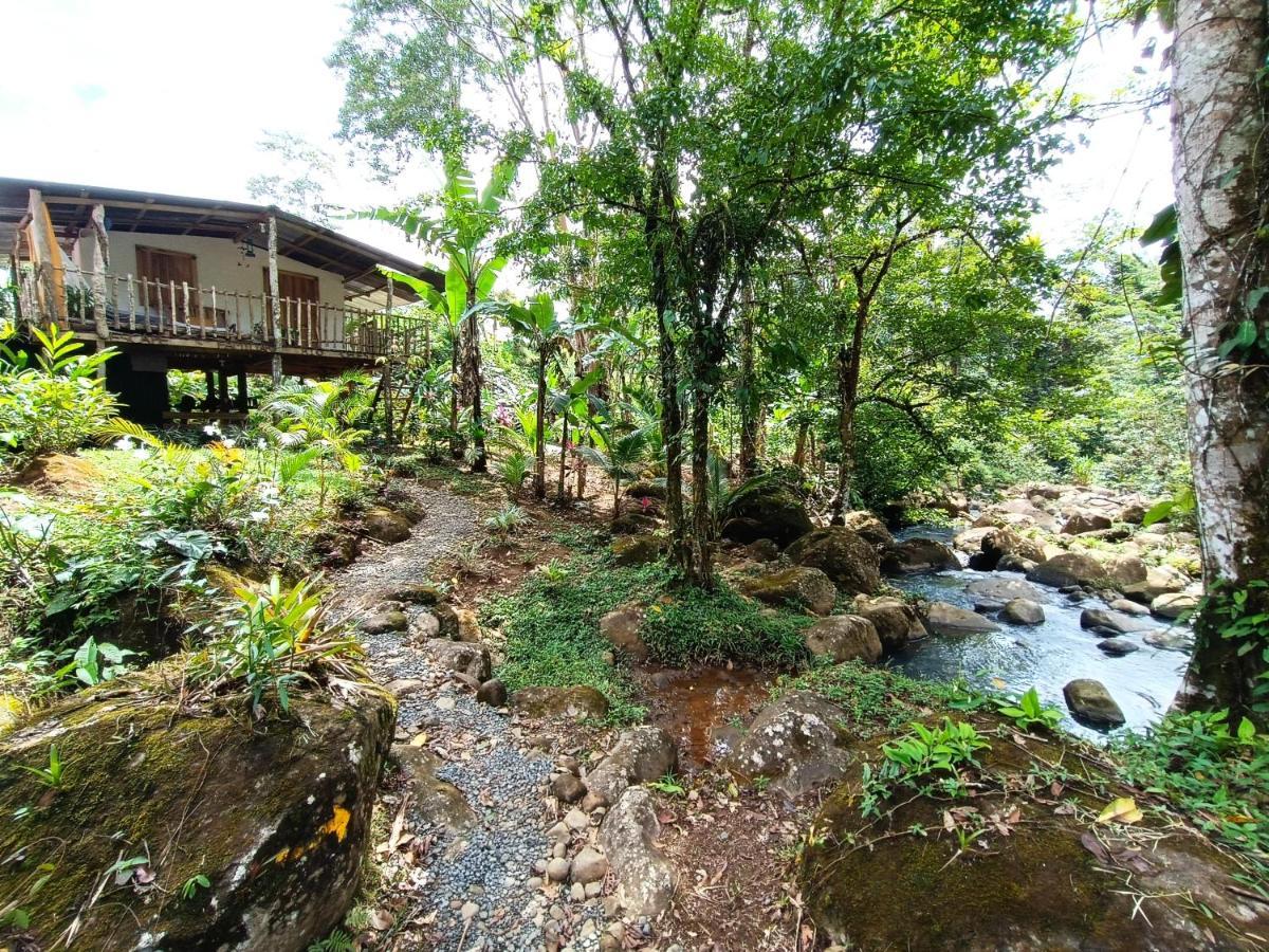 Cabana Vista Rio Celeste المظهر الخارجي الصورة