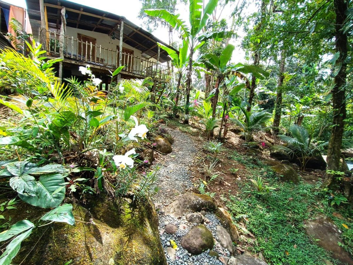 Cabana Vista Rio Celeste المظهر الخارجي الصورة