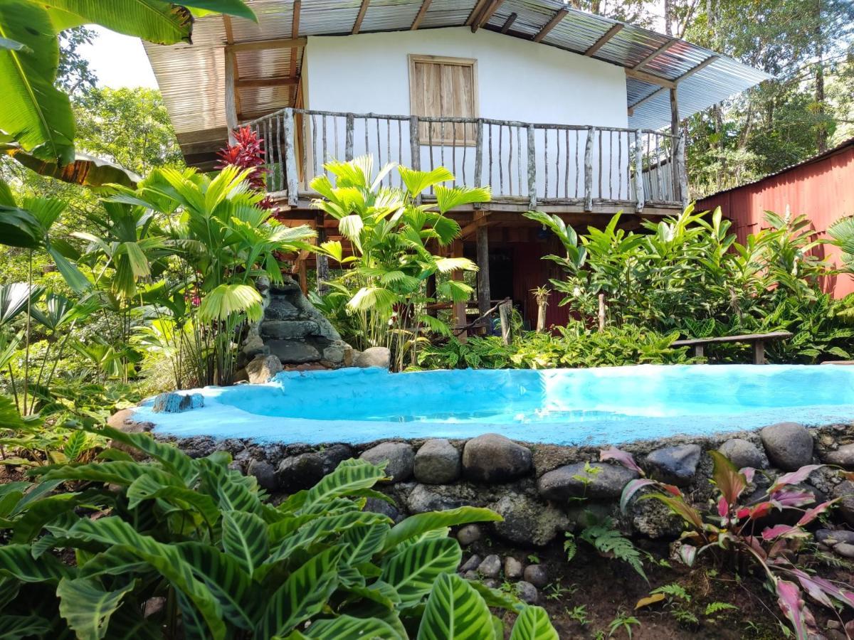 Cabana Vista Rio Celeste المظهر الخارجي الصورة