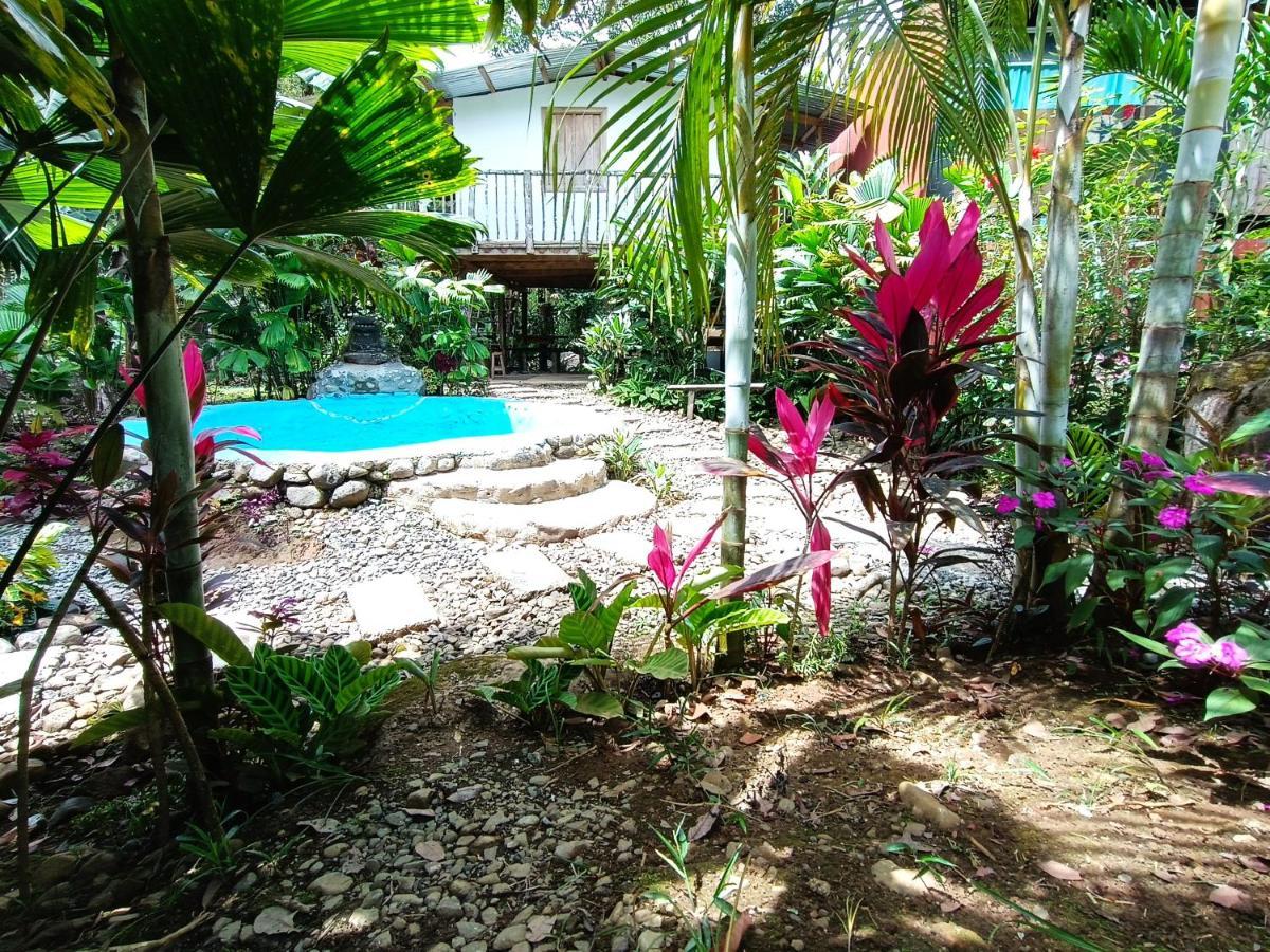 Cabana Vista Rio Celeste المظهر الخارجي الصورة