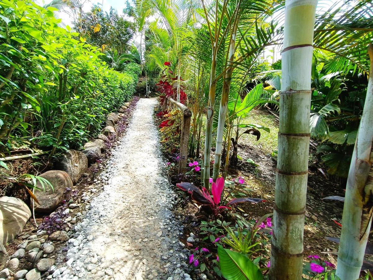 Cabana Vista Rio Celeste المظهر الخارجي الصورة