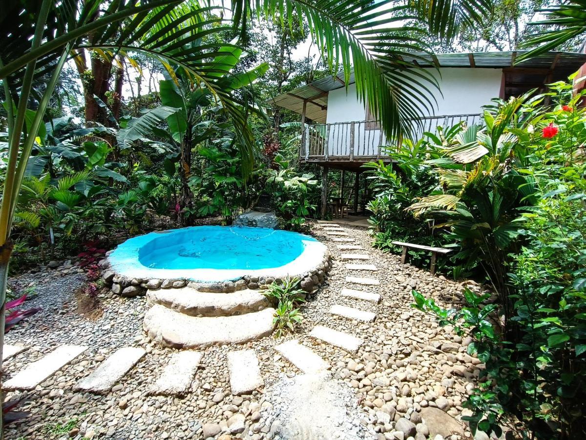Cabana Vista Rio Celeste المظهر الخارجي الصورة