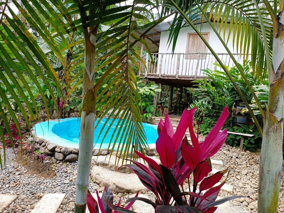 Cabana Vista Rio Celeste المظهر الخارجي الصورة