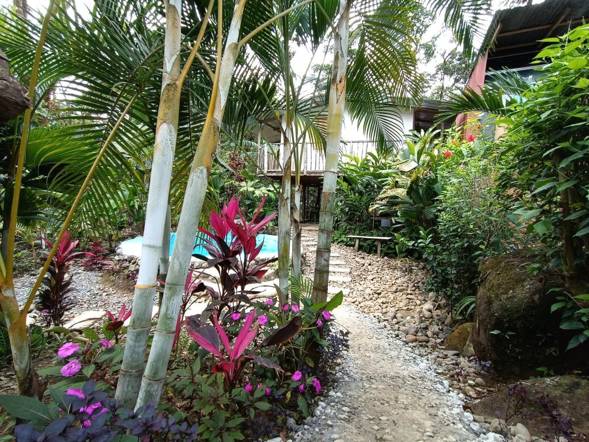 Cabana Vista Rio Celeste المظهر الخارجي الصورة