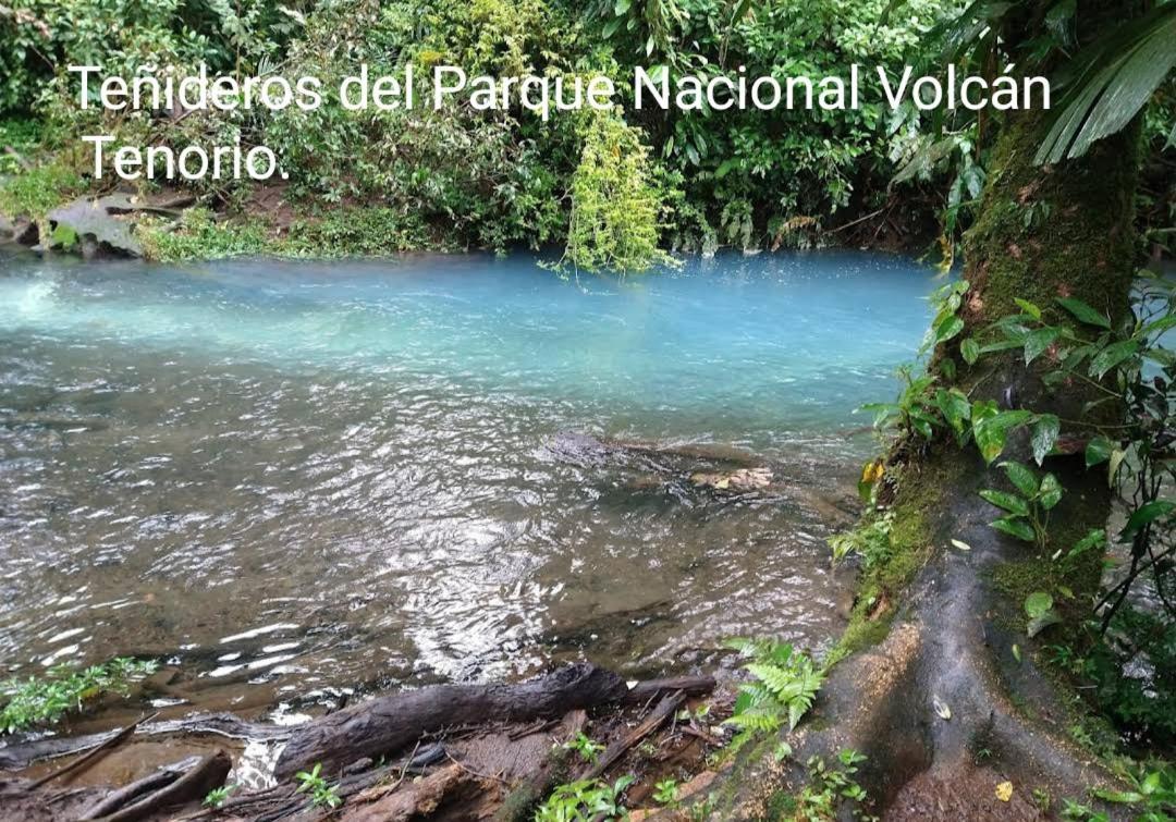 Cabana Vista Rio Celeste المظهر الخارجي الصورة